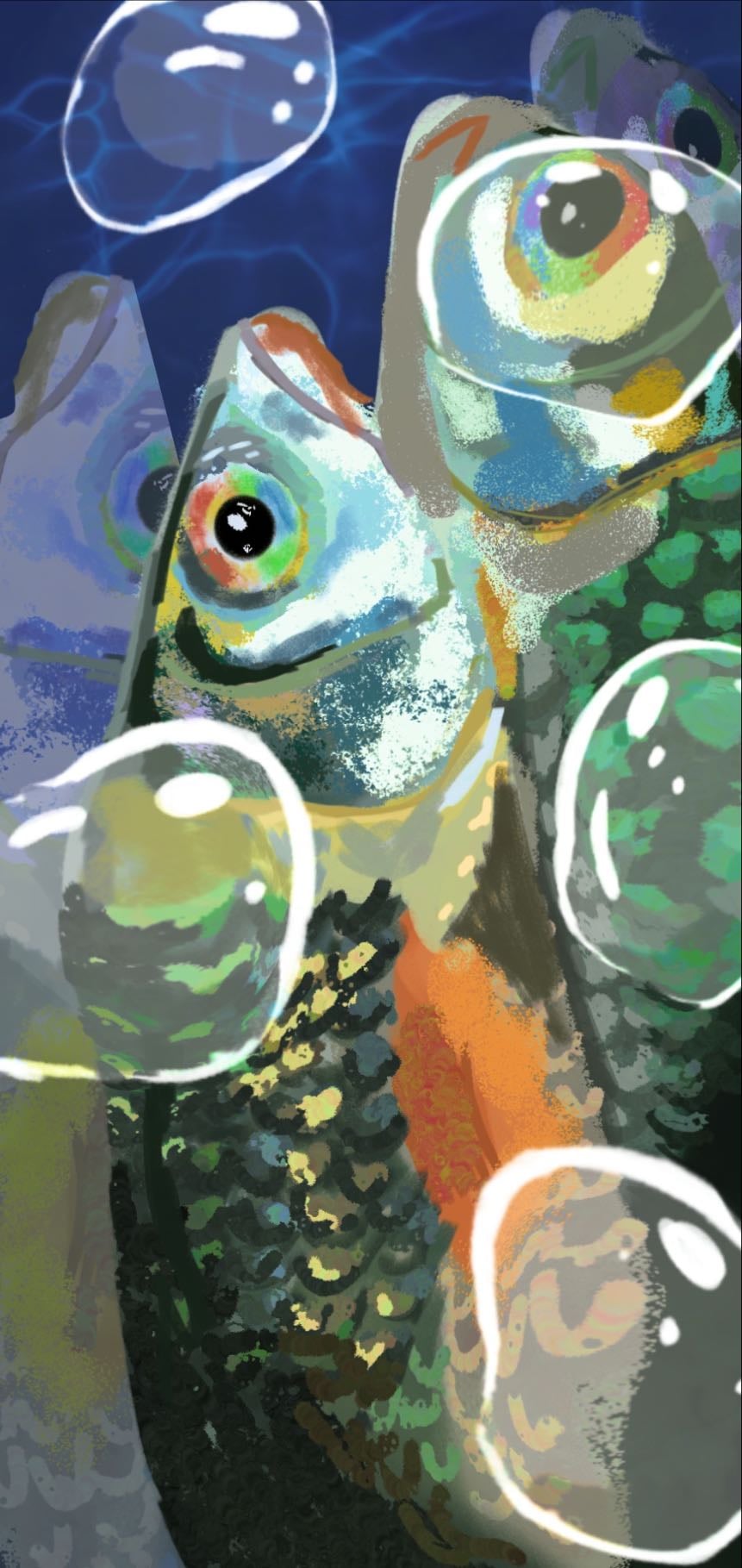 Fish