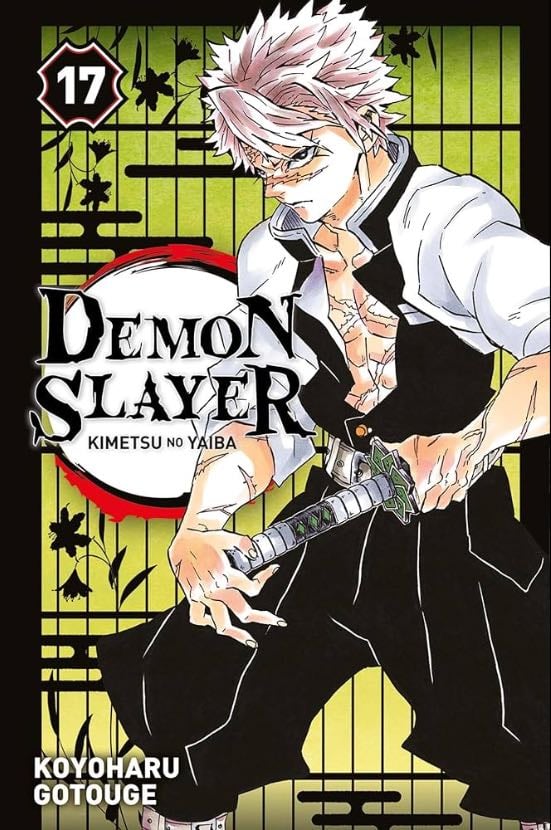 Demon slayer T.17