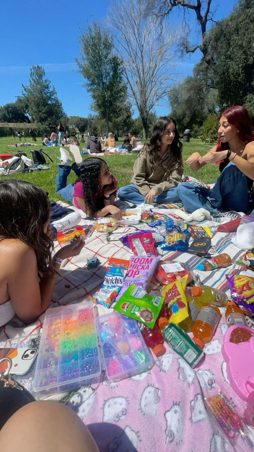 Picnics - Themed ones are also rlly cute! Can do a themed one once or twice a month :)