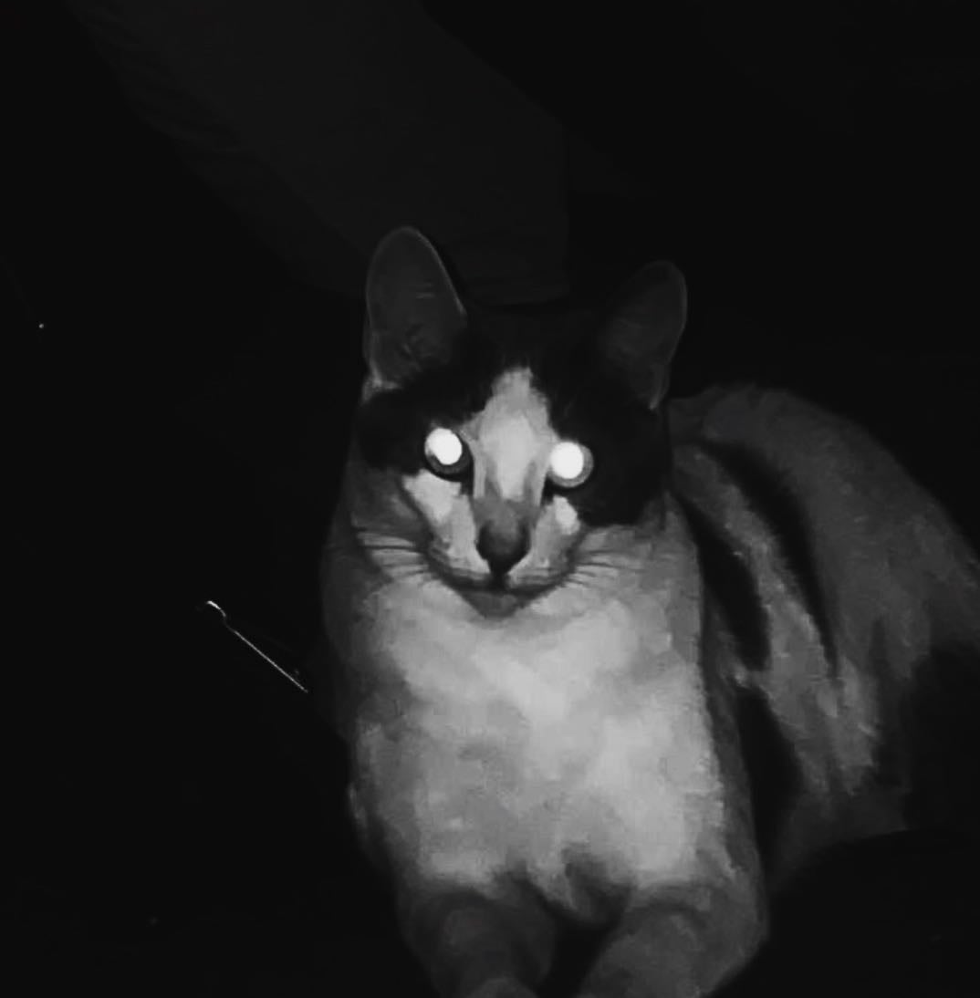 trick or t̵̡̟͇͈̮͚̖͈̂͛r̷̘̭̫͔̤͋͌͛͘͘e̸̢̛͈̙͇͉̞̊̑̏͂̀̎͠â̵̡̛͓̩̣̠͓͇͛t̴͉͍̪̫̎? - Other hypelist by grvwvbtch