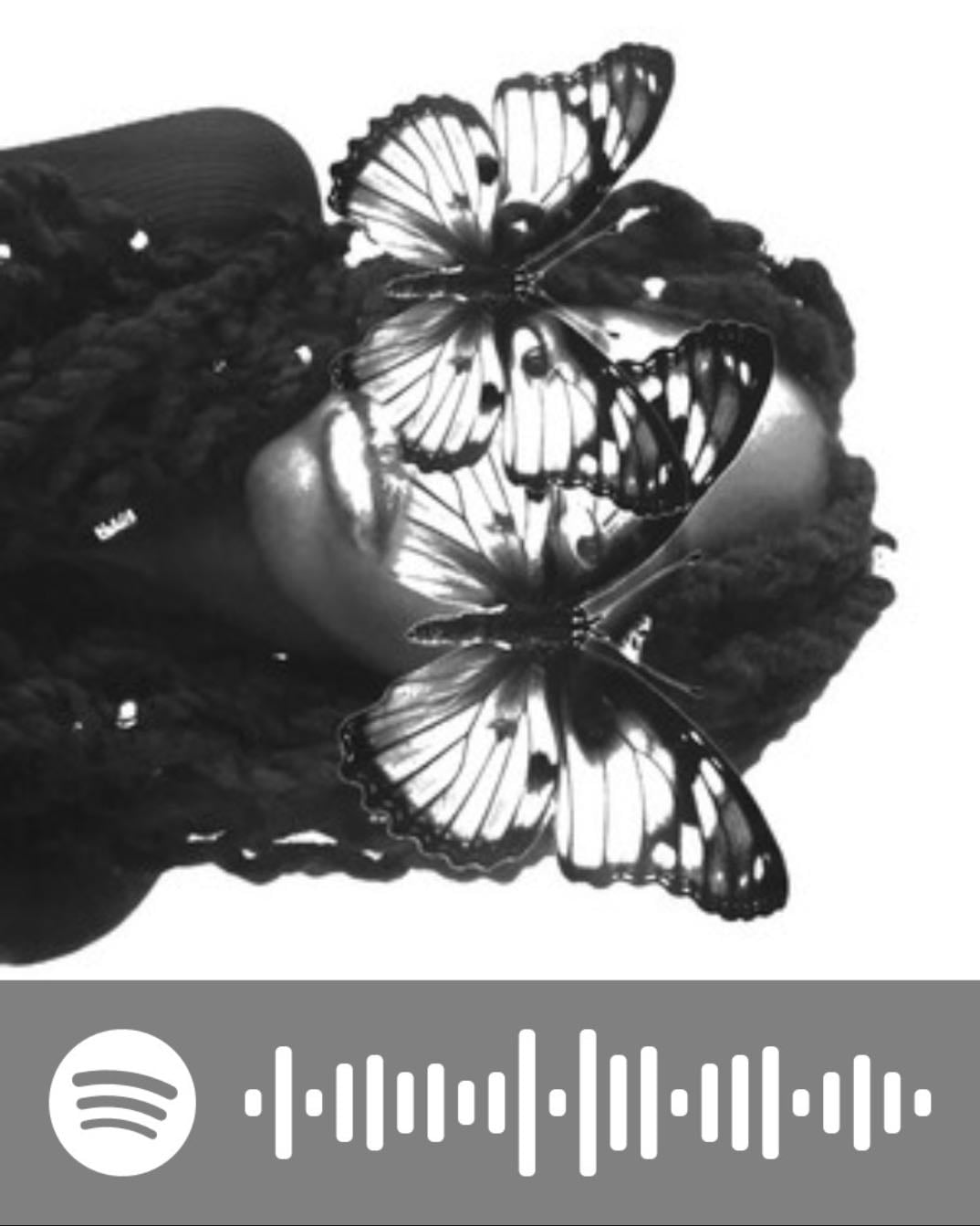 The May Dazzle - 2026 playlists