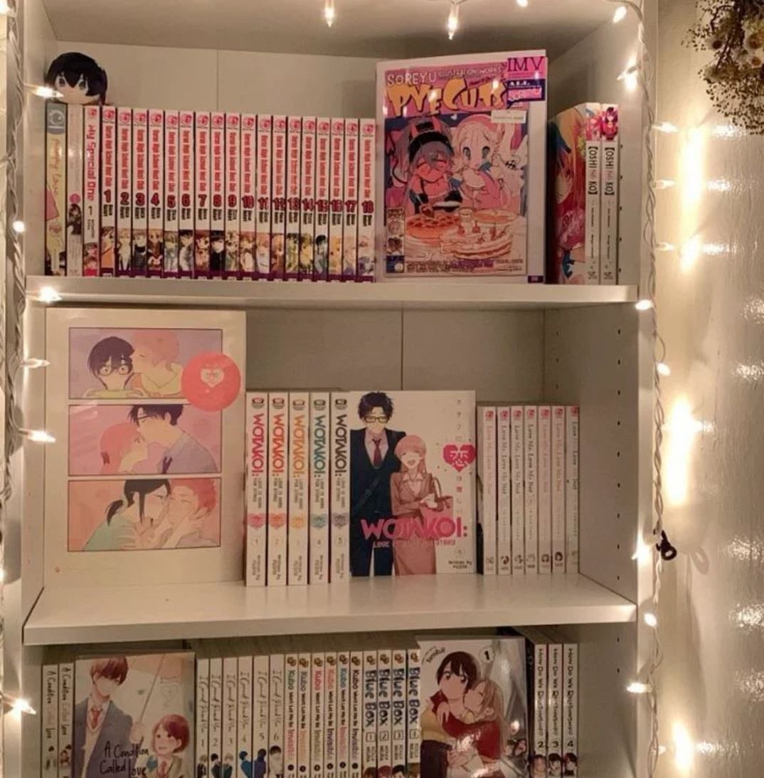 Am I Otaku??