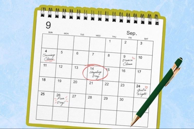 Mental calendar skill - Imagine being able to know any day in human history just from the date—whether in the past or the future! Converting any date into moments, as if you have a built-in calendar in your brain. A skill that programs your mind for speed and accuracy, making it operate at its full potential.