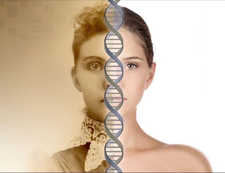 Genetic memory - How can we inherit phobias and fears from our ancestors, such as the fear of heights?