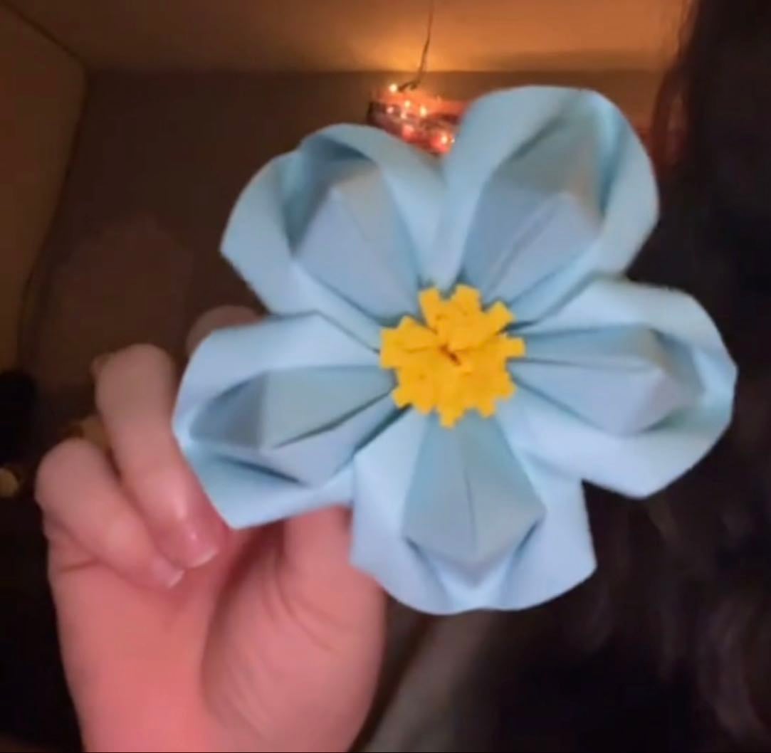 Paper flower - peeps1227