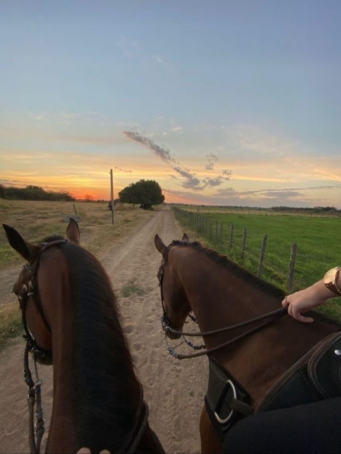 Horse riding
