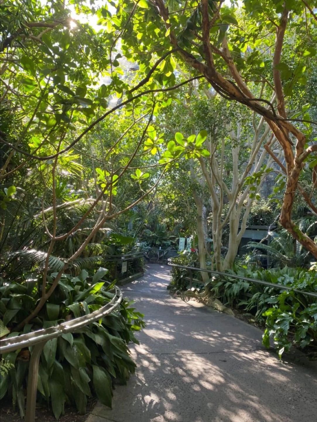 Zoo or park