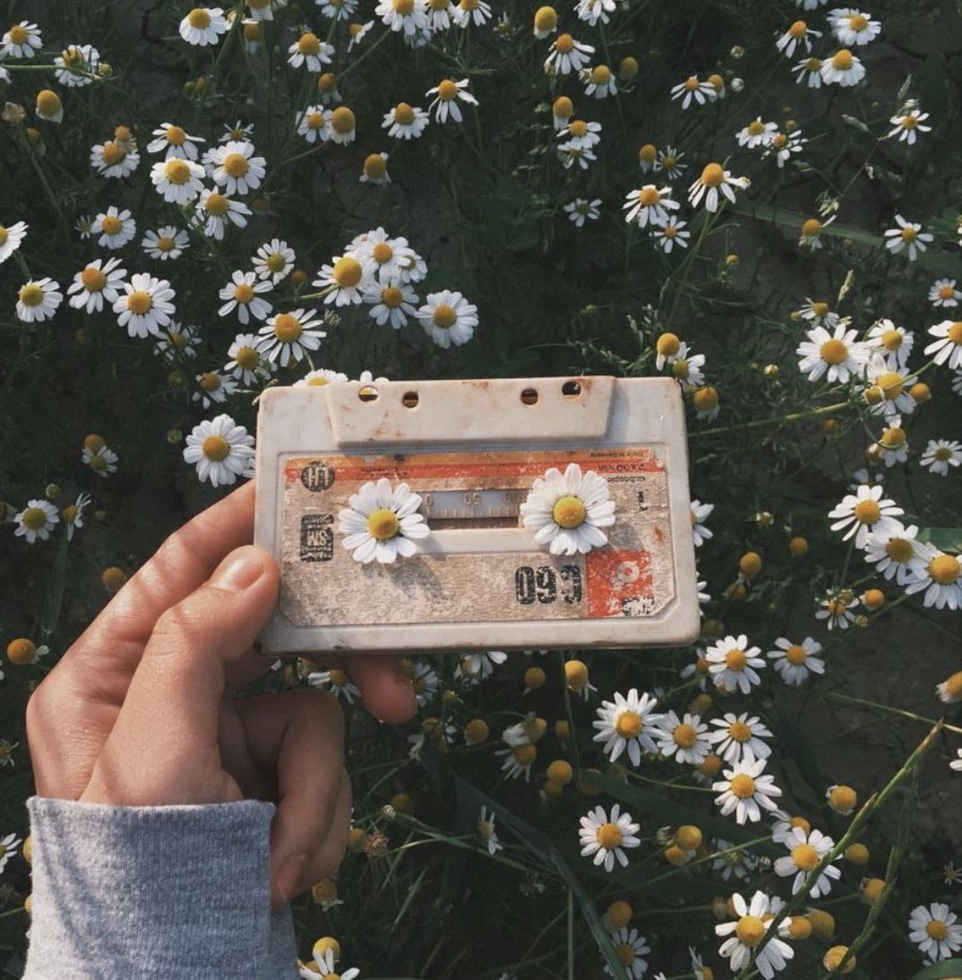 𝐹𝑎𝑣𝑜𝑢𝑟𝑖𝑡𝑒 𝑠𝑜𝑛𝑔𝑠 📼