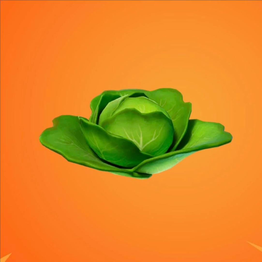 Cabbage/ Lettuce