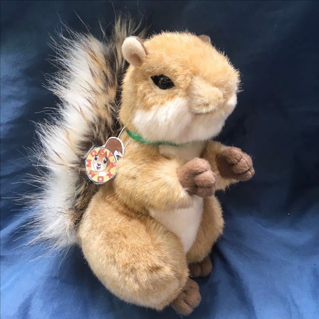 squirrel stuffed animal