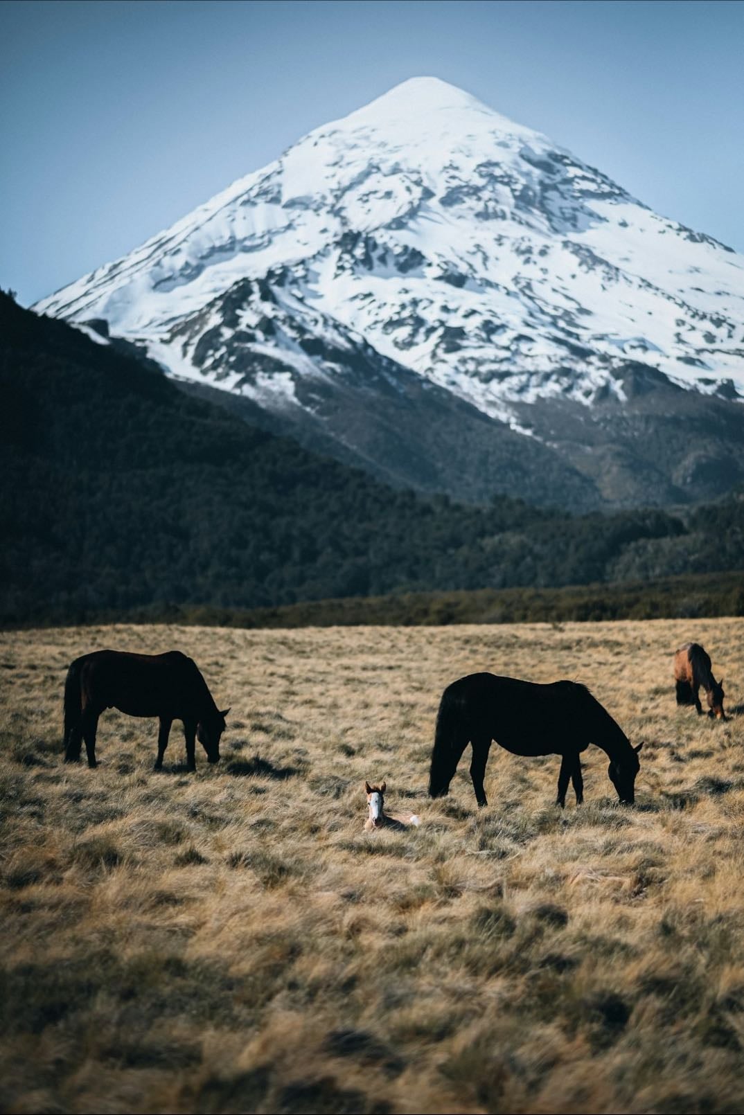 Los Andes - Cruze en caballo
