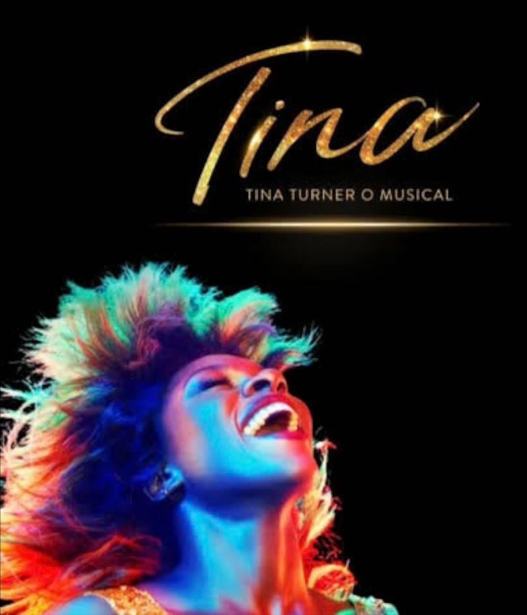 tina turner o musical