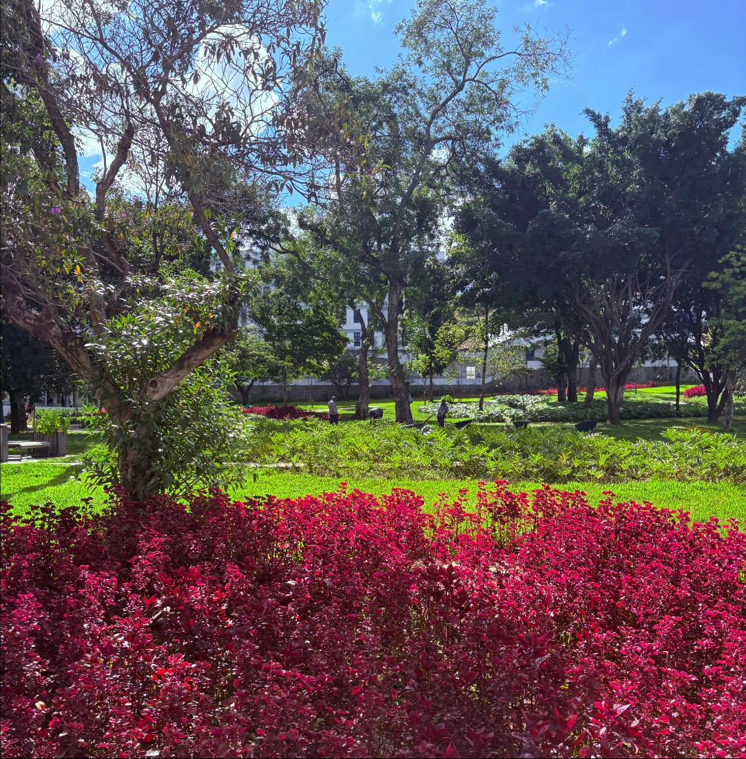 📍 lugares que PRECISO ir em bh