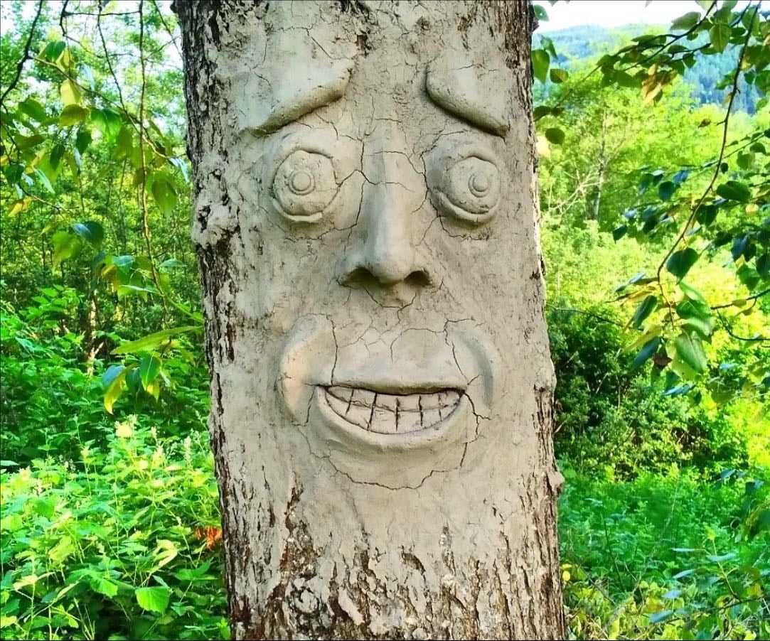 Make faces on trees