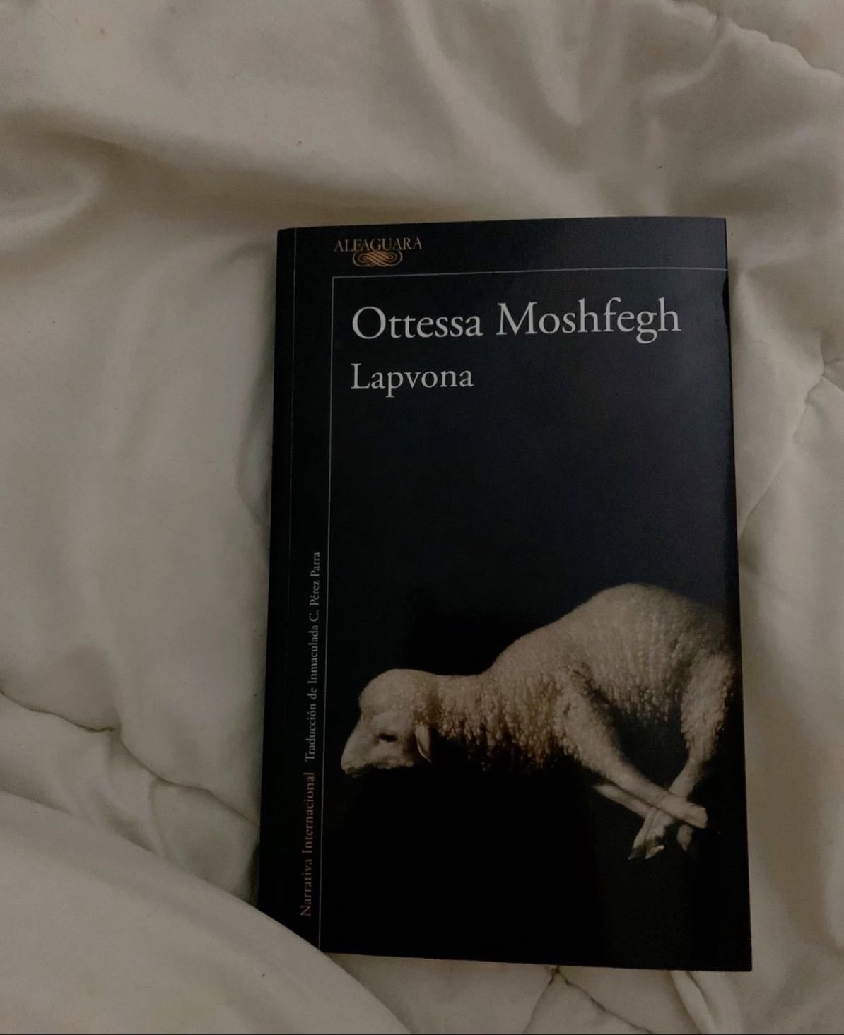 Lapvona ౨ৎ