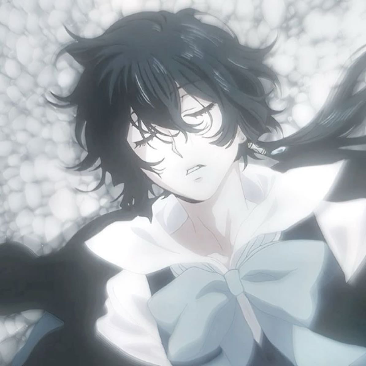 Vanitas - The Case study of Vanitas