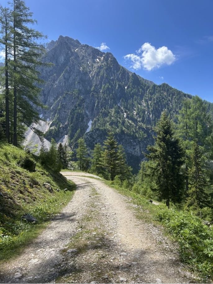 go hiking
