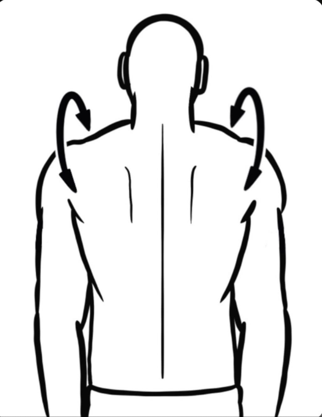 Shoulder Rolls