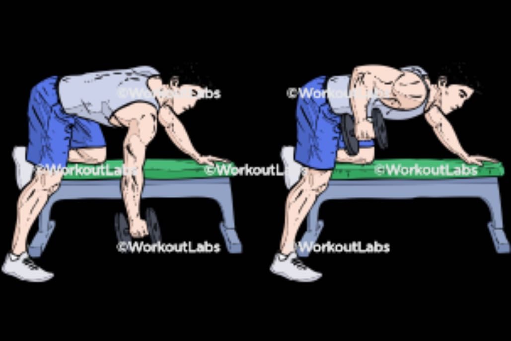 Single Arm DB Bench Row - Back