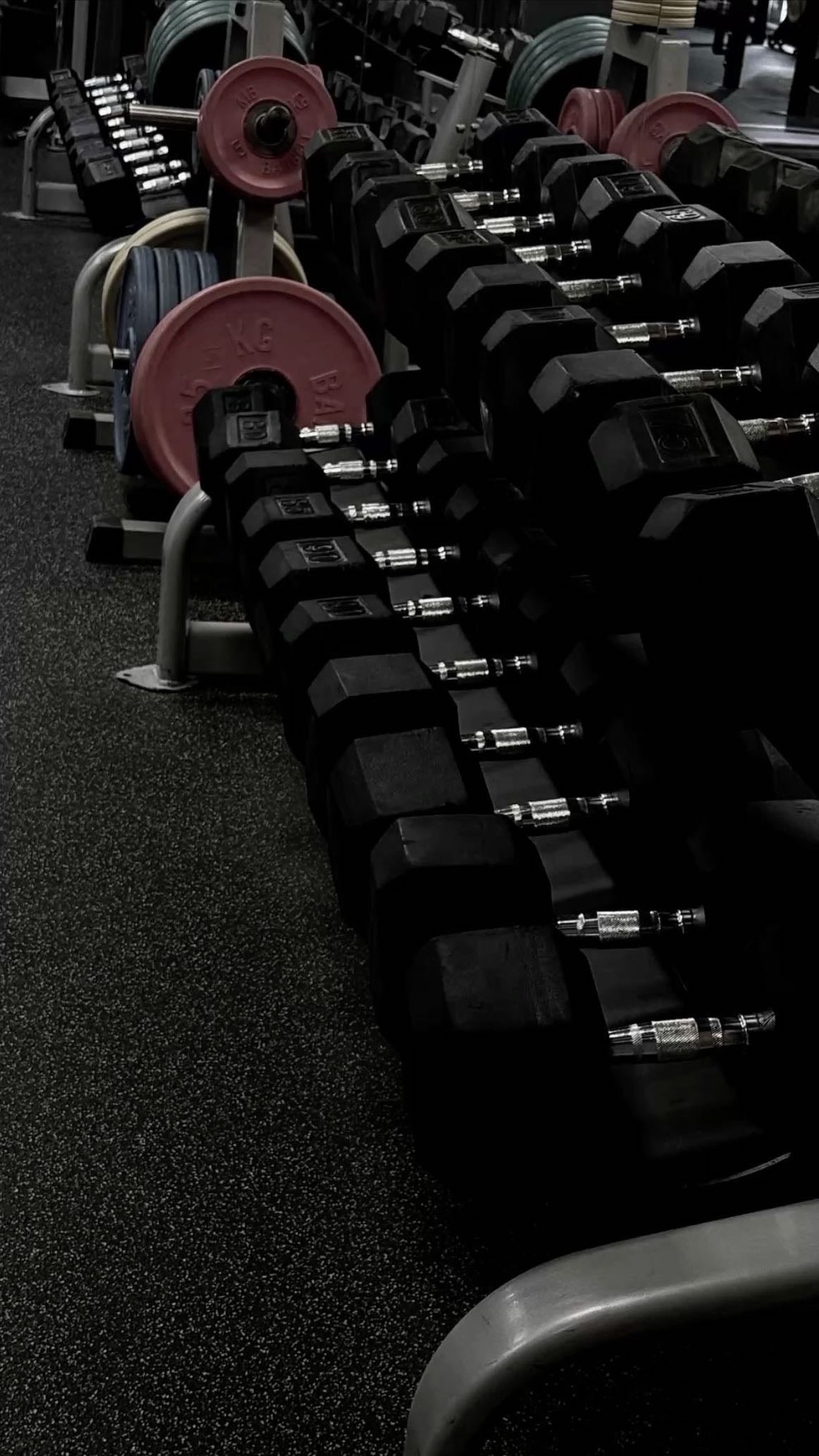 Ser constante en el gym