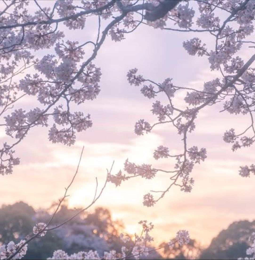Songs of the month (april) - Music hypelist by Persaya