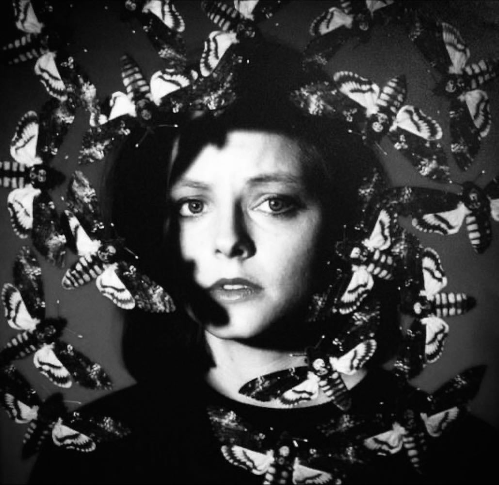 the silence of the lambs - jonathan demme Β· 1991