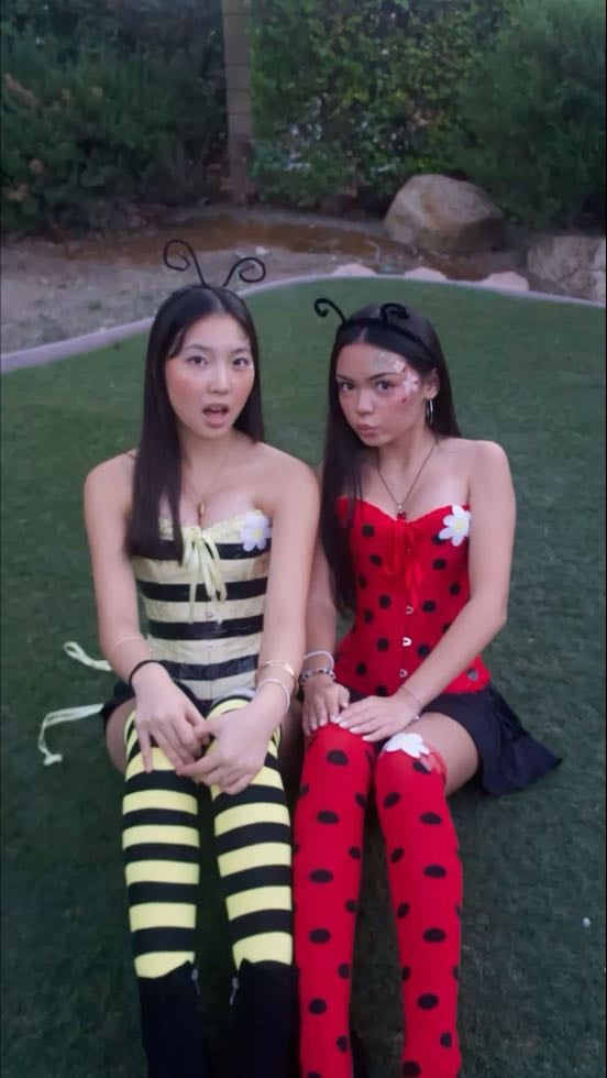 ladybug + bee