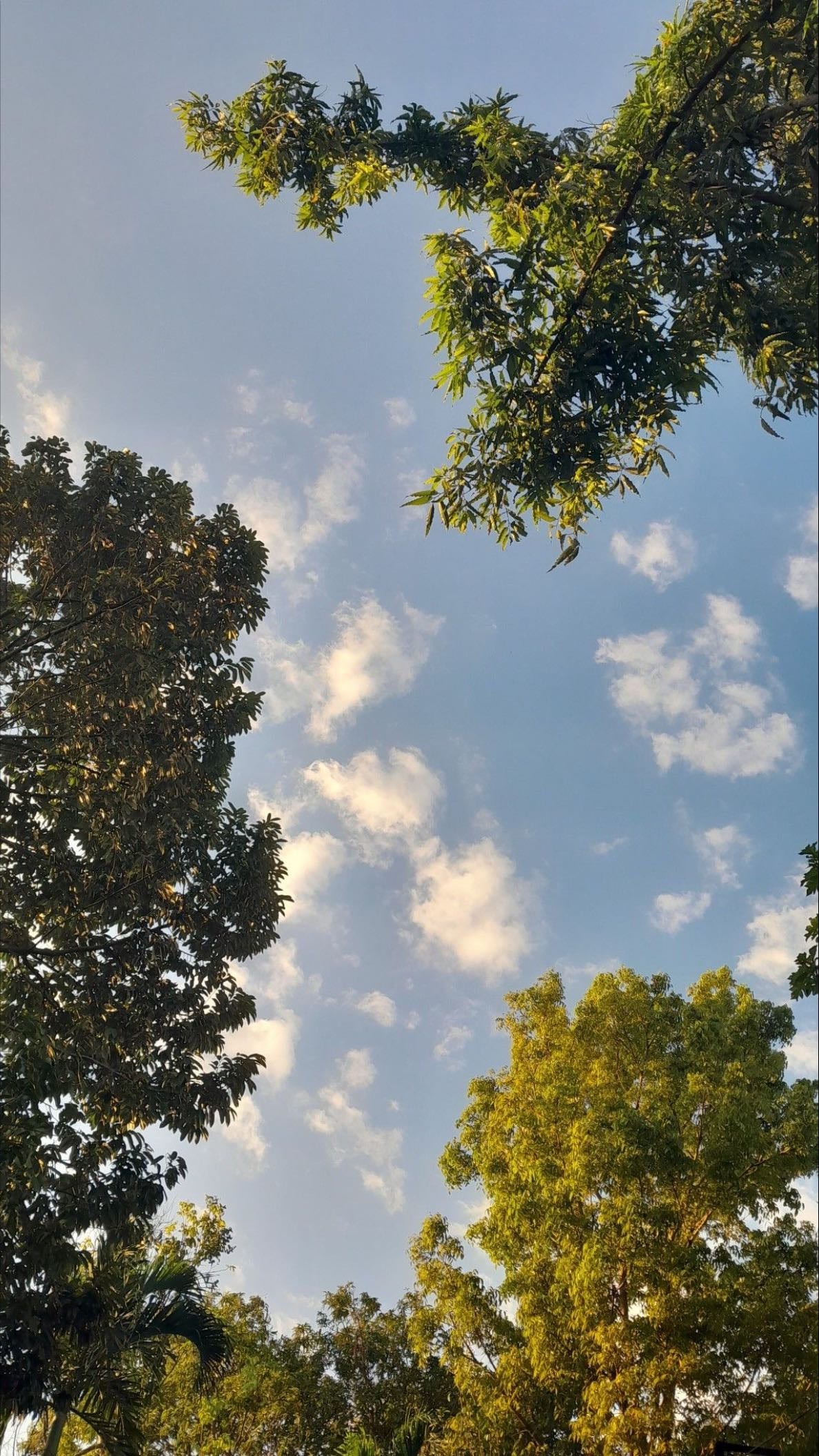 “Llegué a lo mas alto de la montaña y el cielo se veía igual de lejos”