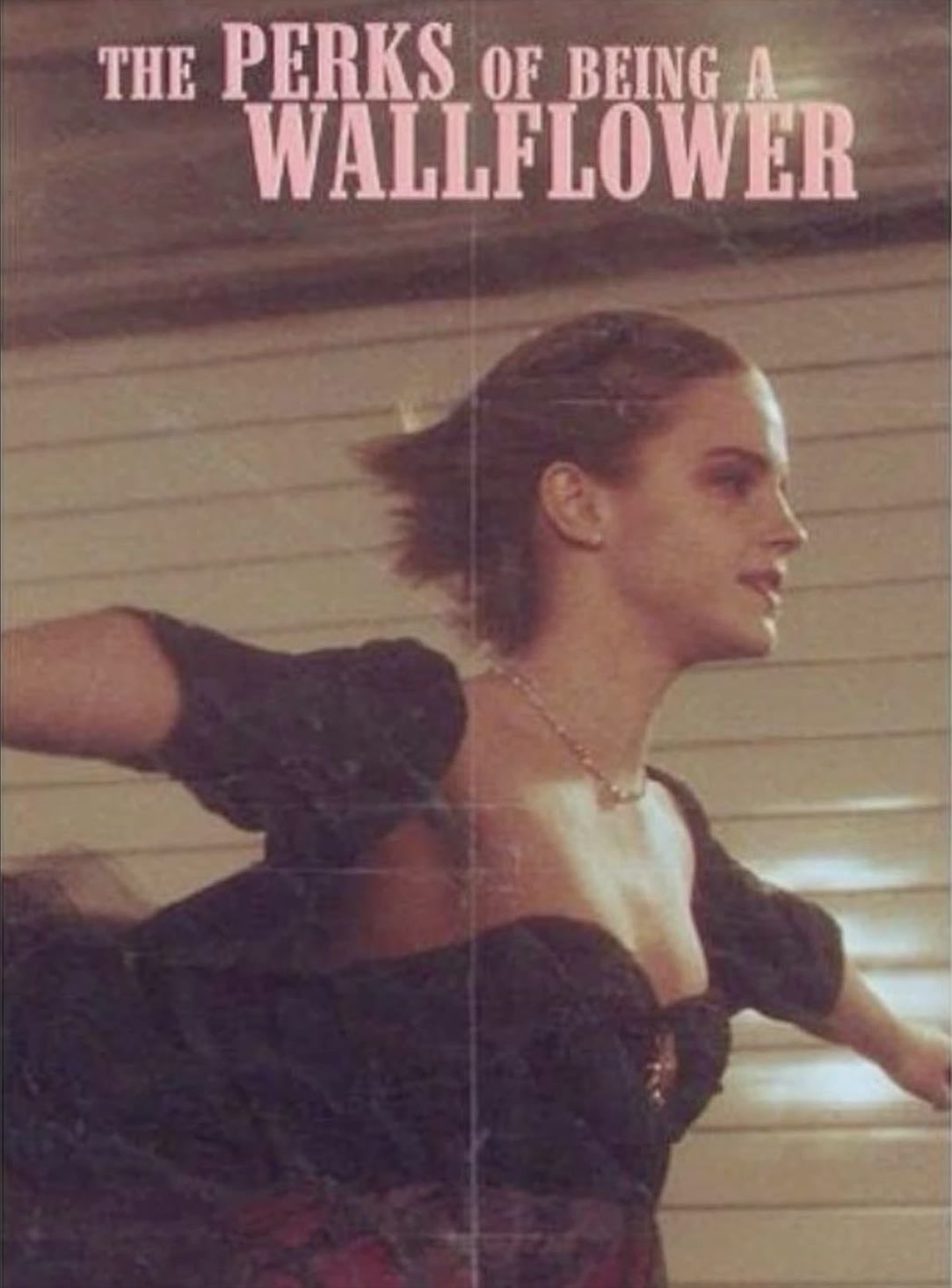 The Perks of Being a Wallflower - Stephen Chbosky · 2012