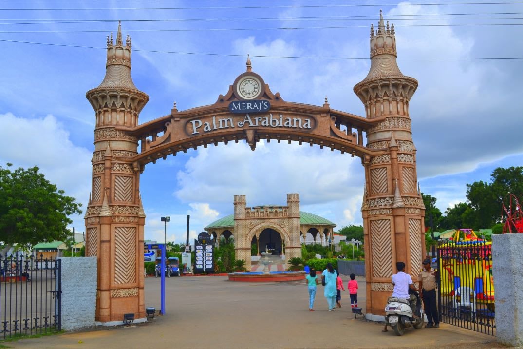 Palm Arabian