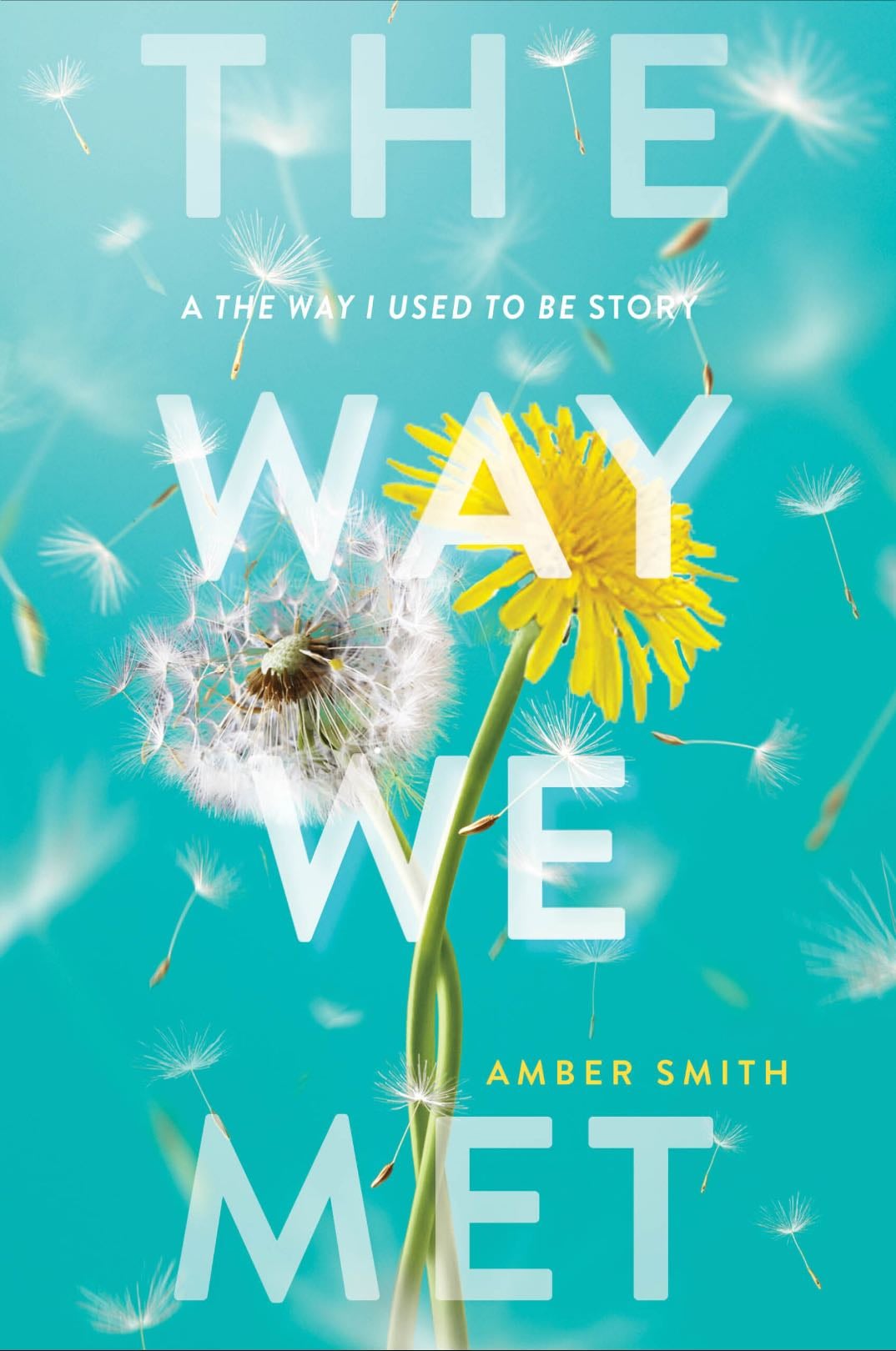 The way we met - Amber Smith