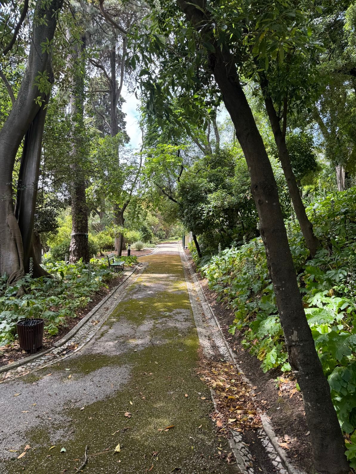Jardins do Palacete de São Bento - Park