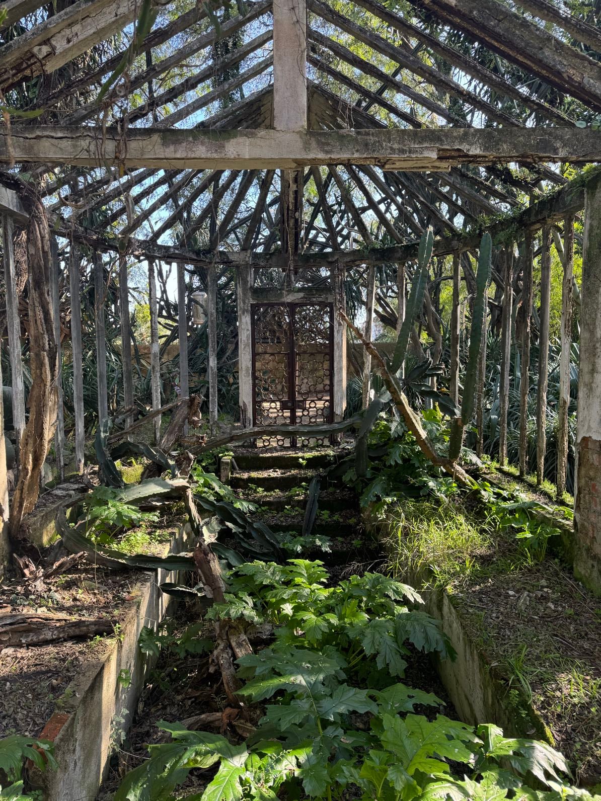 Jardim Botânico Tropical - Park