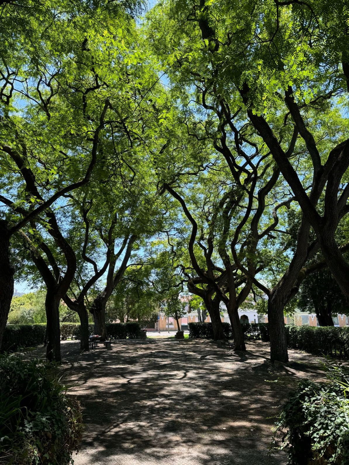 Praça de Diu @ Belém