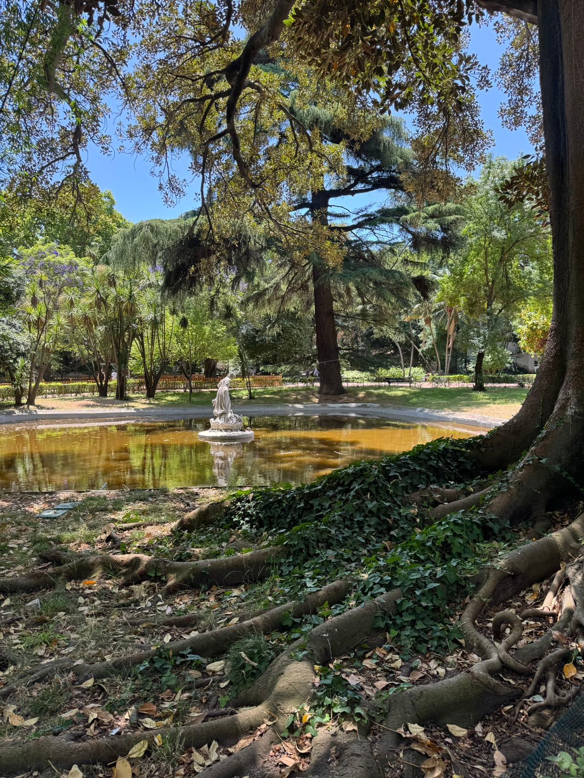 Jardim da Estrela