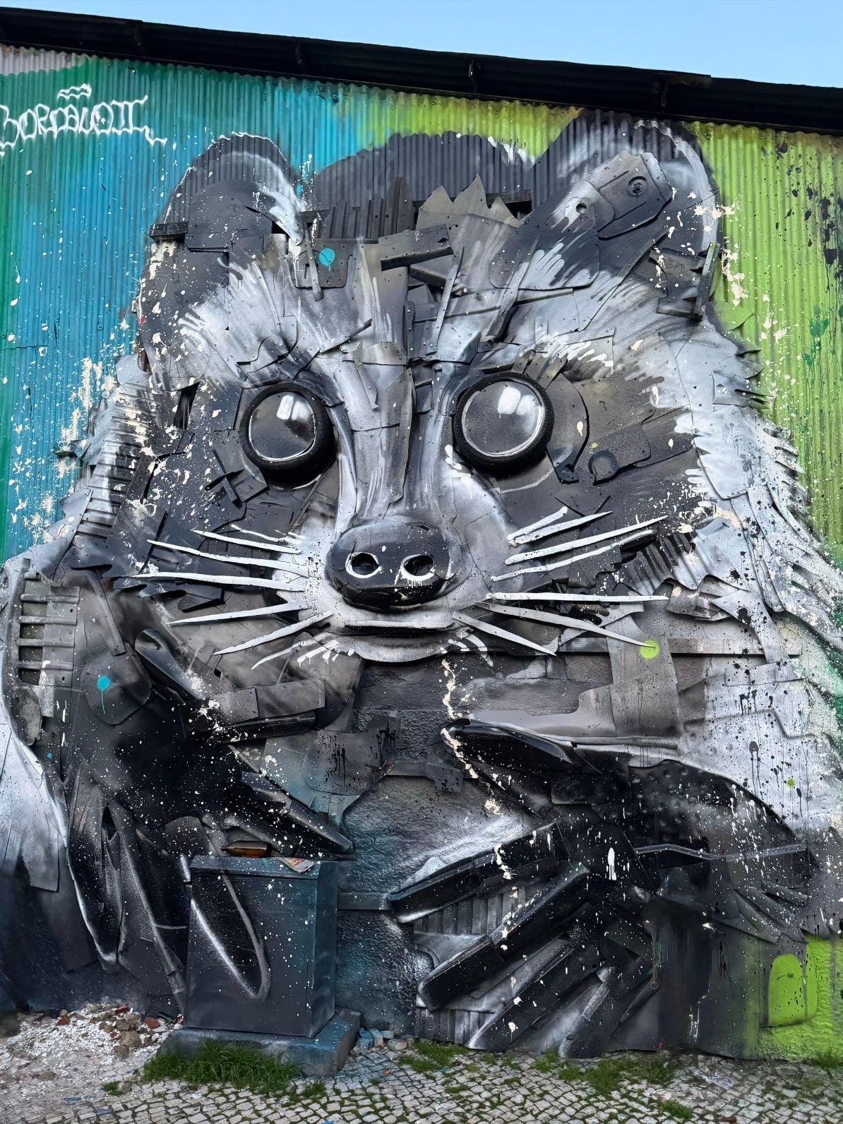 Racoon @ Xabregas