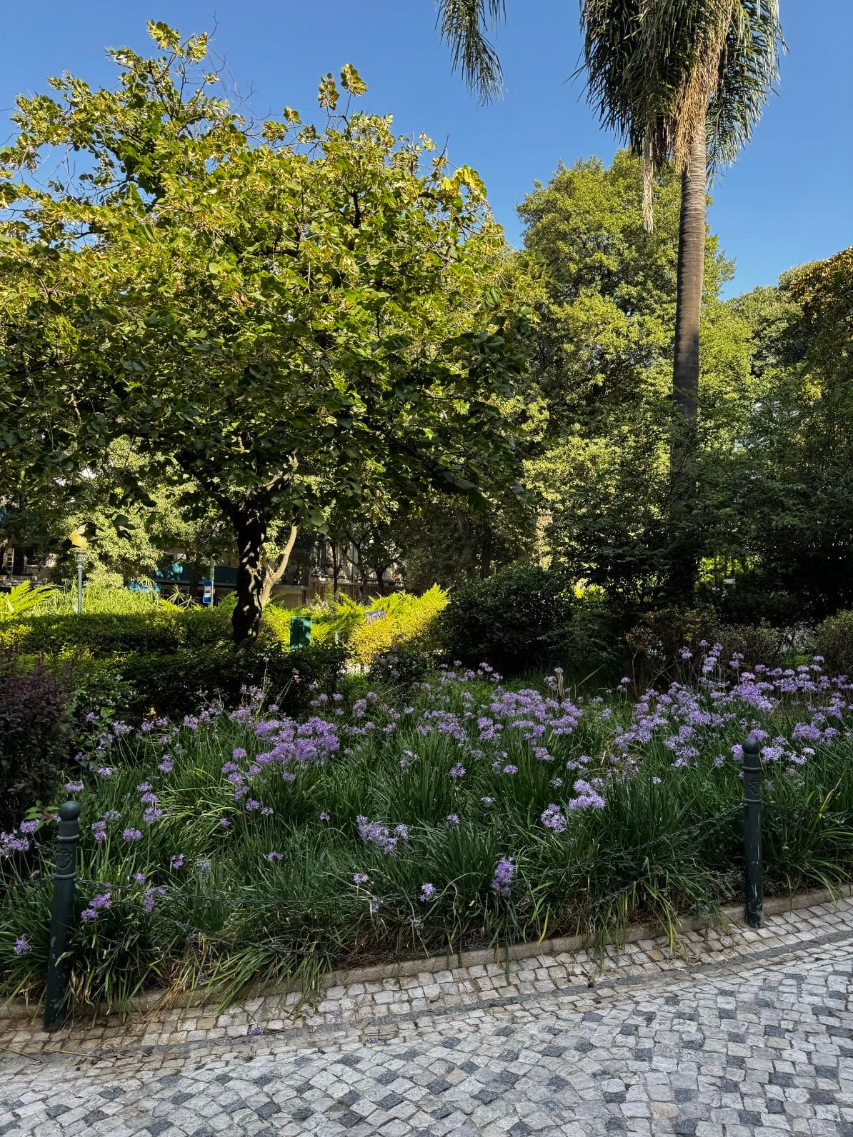 Jardim Cesário Verde @ Santa Cruz