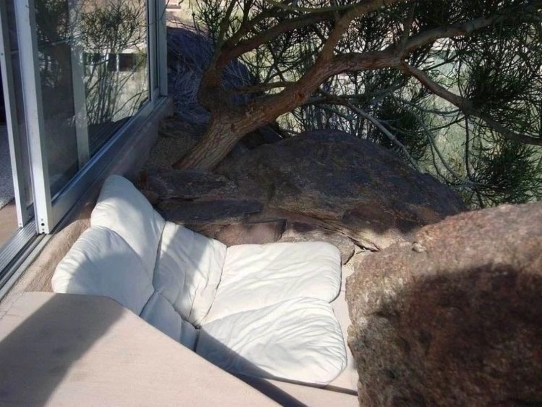 Take a nap in the sun - & hear the bird singing