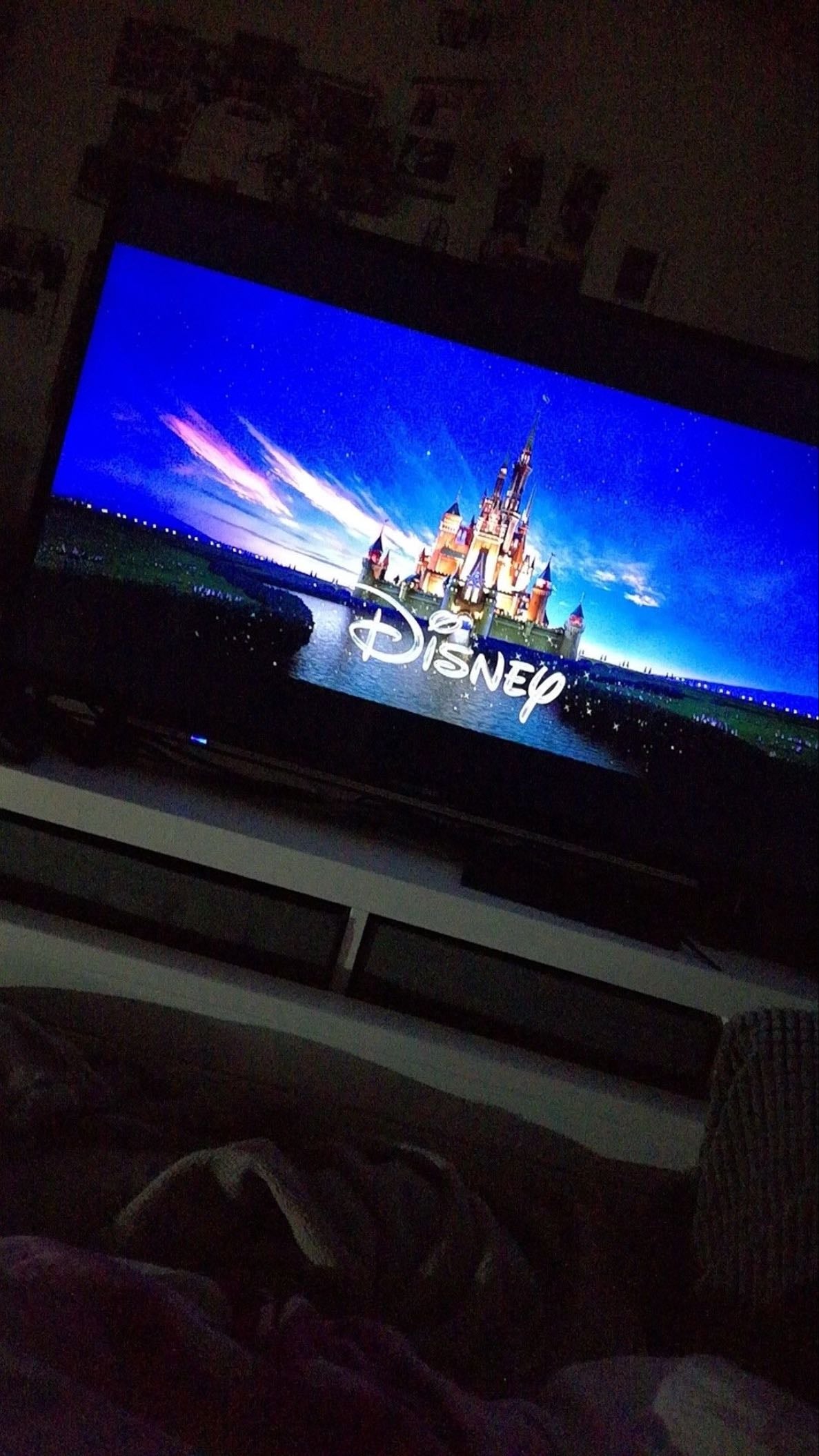 Disney marathon