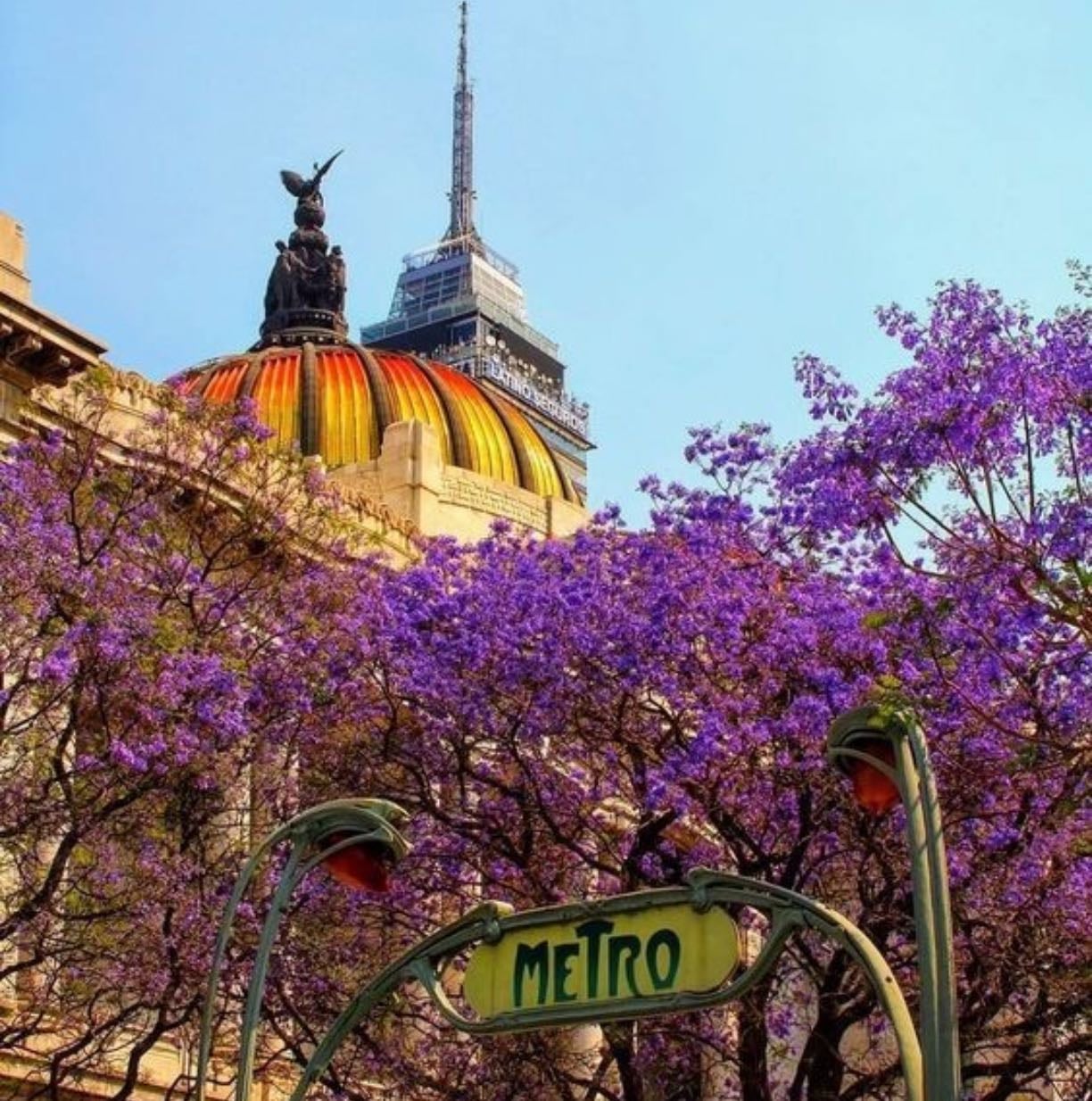 CDMX - Travel guide.
