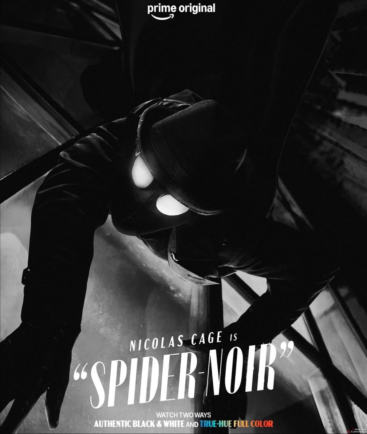 Spider-Noir - Acción/ Comedia
1 temporada
Prime Video