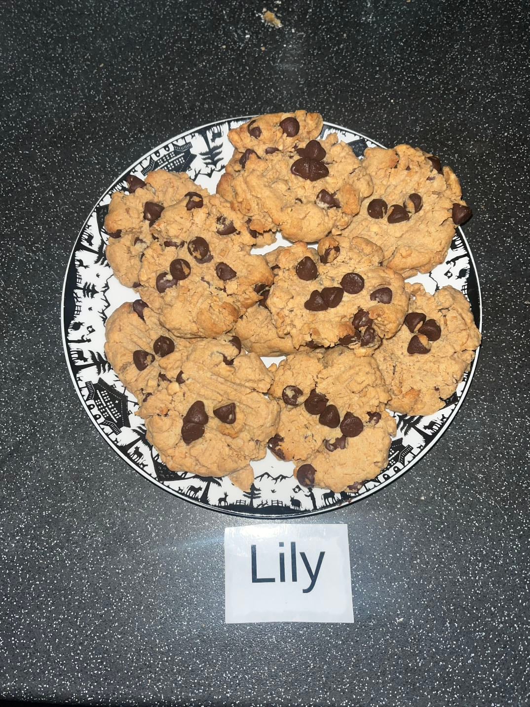 Vegan peanut butter biscuits