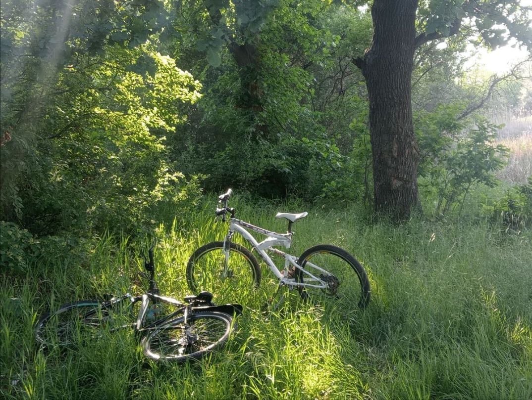 Ride a bike - To have some fresh air