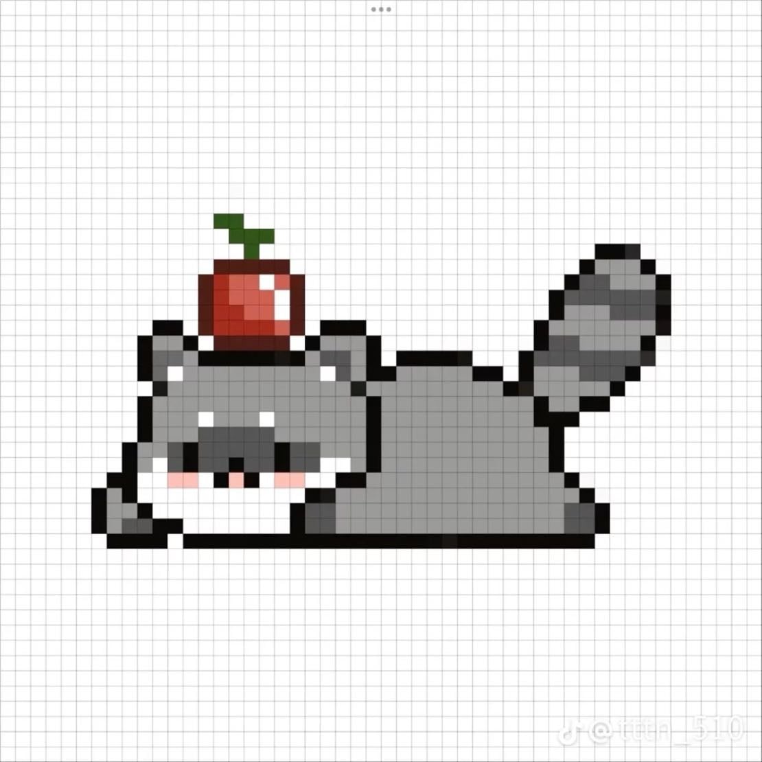 Raccoon
