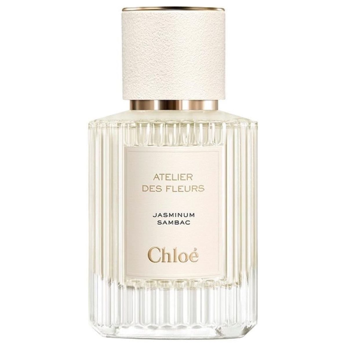 Jasminum Sambac (2019) - Chloé