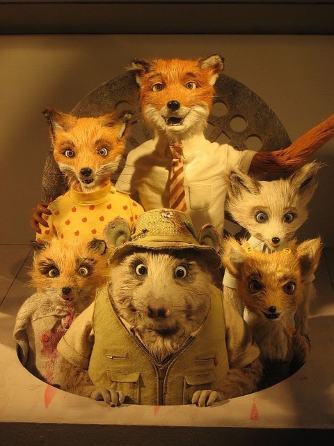 Fantastic Mr. Fox ⋆.°𖦹⋆✮⋆.° - Wes Anderson · 2009