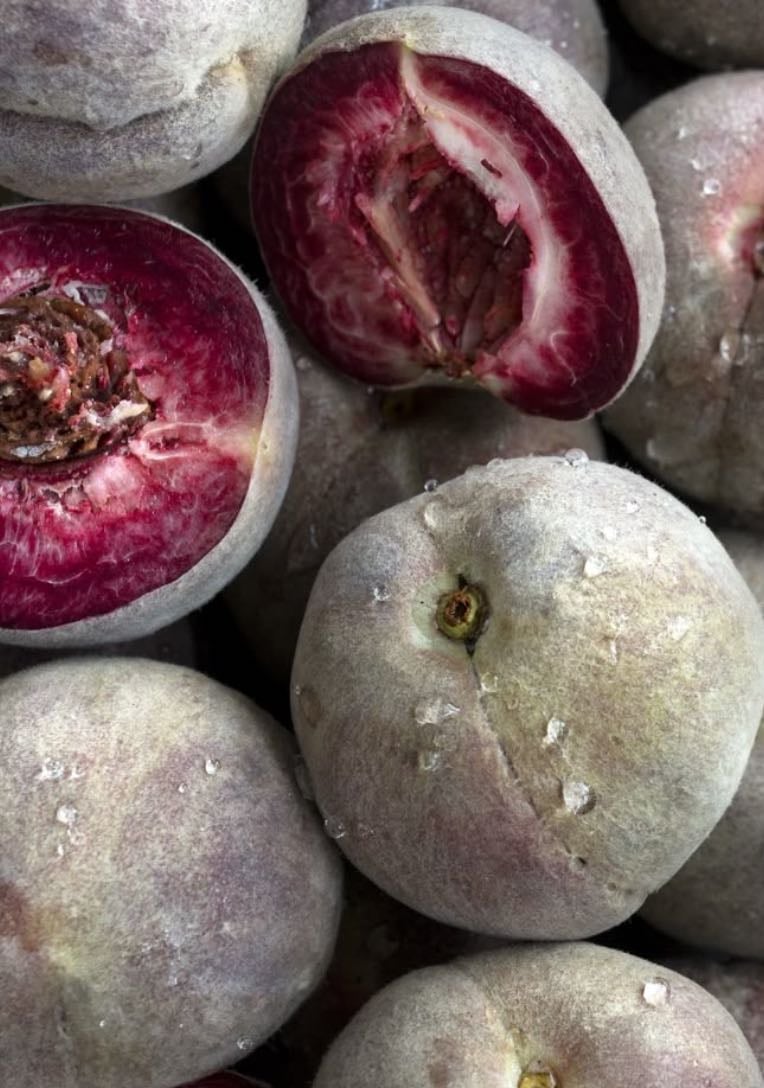 Blackboy Peach - Taste: Rich, sweet peach with bold berry-like depth and slight spice notes