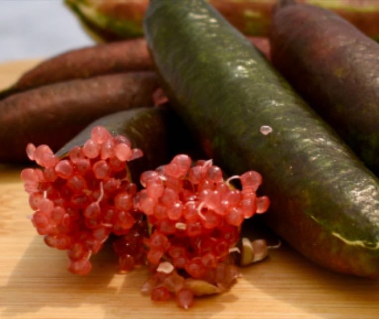 UF Red Fingerlime - Taste: Tart citrus, grapefruit notes