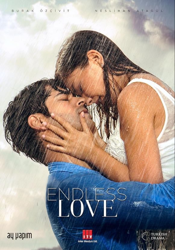 Endless love (2015-2017)