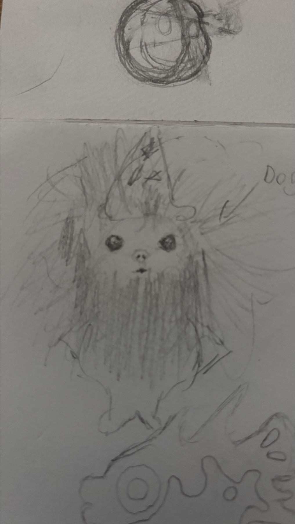 Dog wizerd
